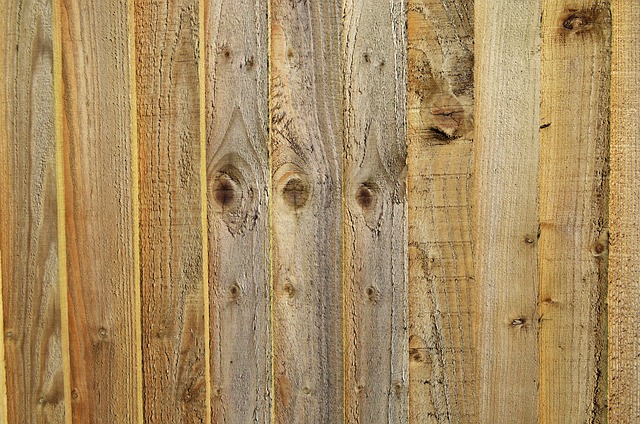 Carpenter