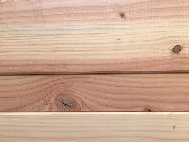 Carpenter