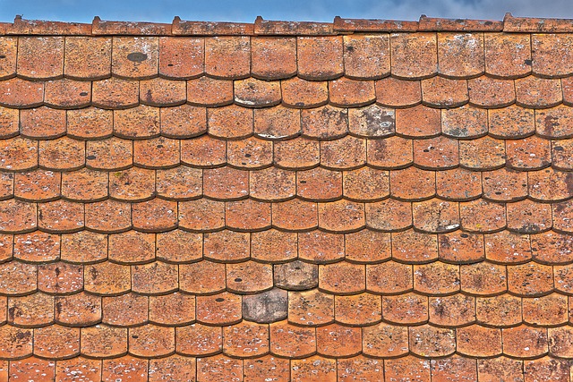Roofer