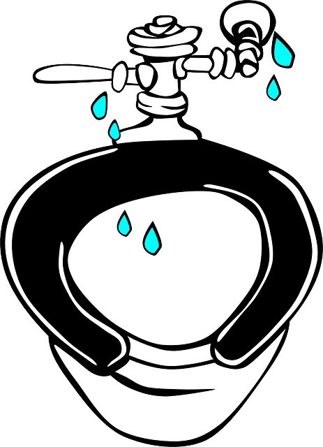 plumber-640x480-16909517.png