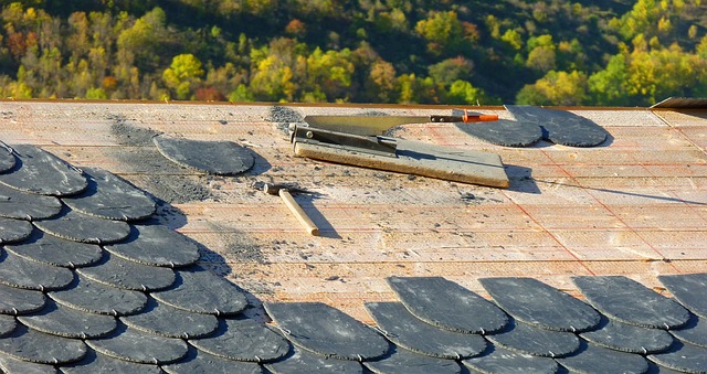 roofer-640x480-11932781.jpeg