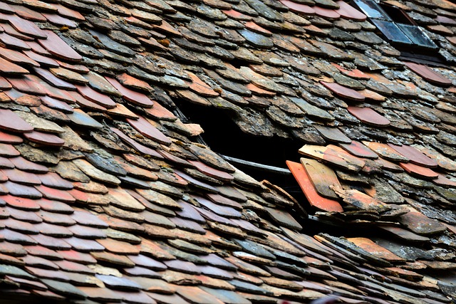 roofer-640x480-43927249.jpeg