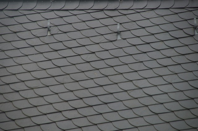 roofer-640x480-98281591.jpeg