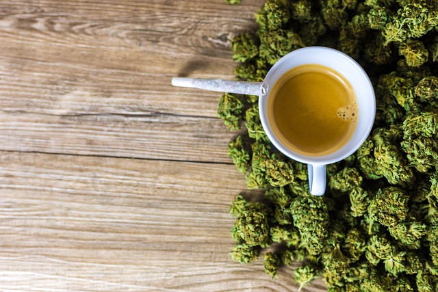 cbd extracts