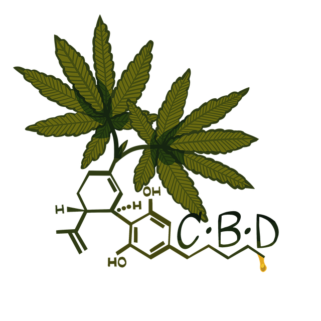 cbd vapes, gummies and extracts
