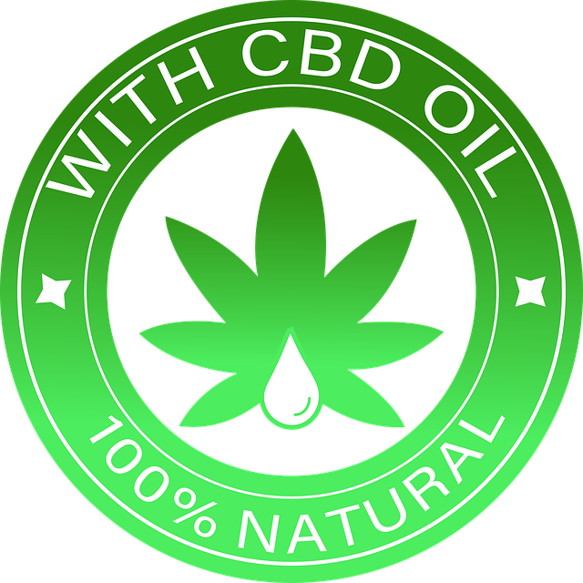 cbd vapes, gummies and extracts