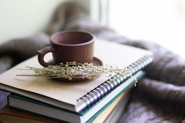 hollistic health medicine