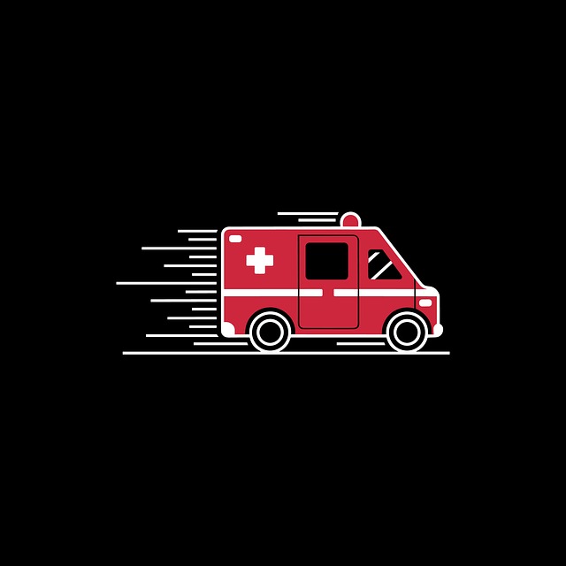 hollistic health medicine