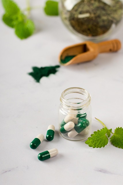 hollistic health medicine