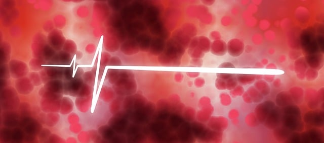 hollistic health medicine