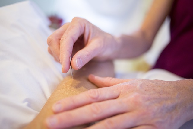 holistic health medicine
