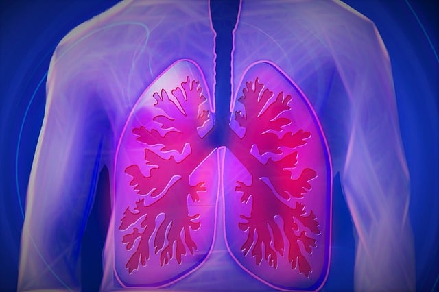 holistic health medicine