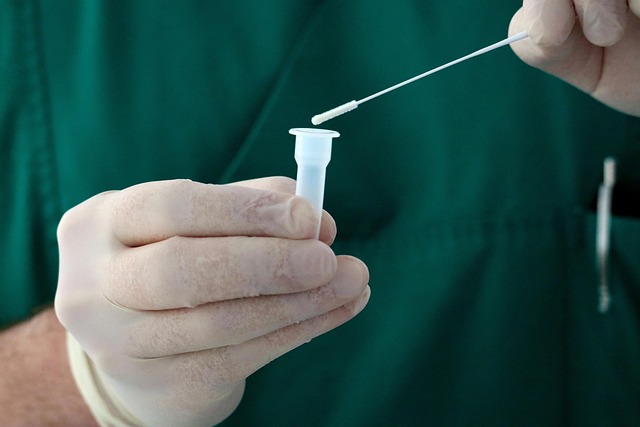 holistic health medicine