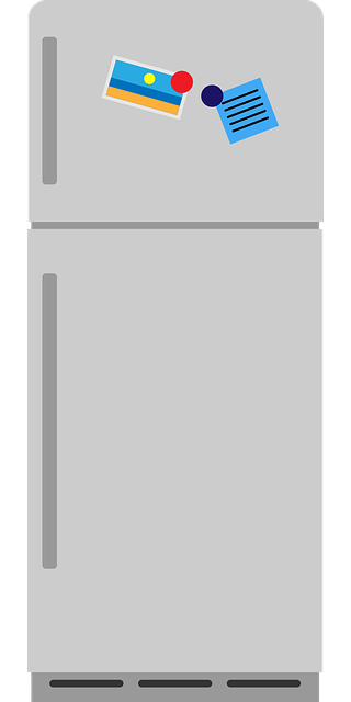 home gym equipment