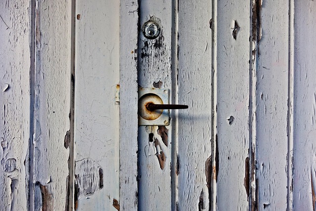lakewood garage door services