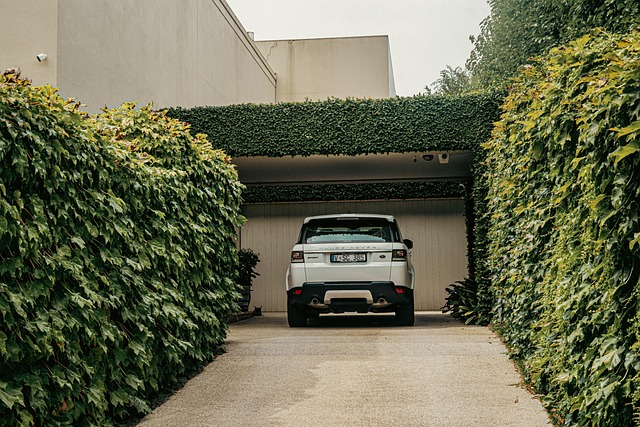 lakewood garage door services