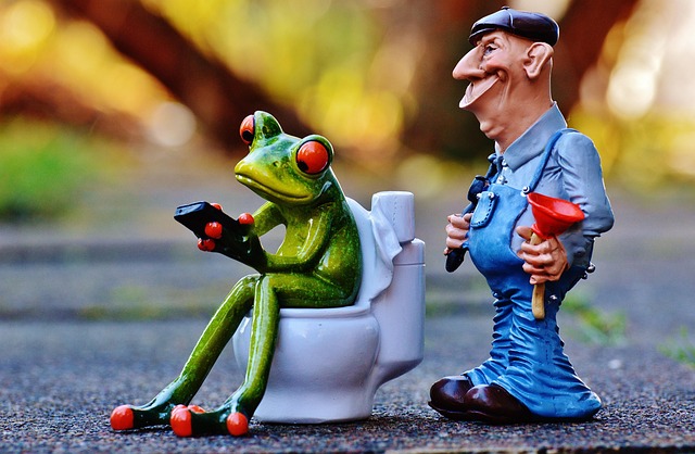 plumbers in Tacoma