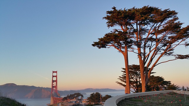 digital marketing in San Francisco