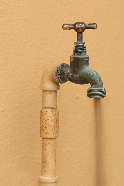 plumbing services in Tacoma