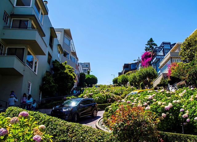 seo-in-san-francisco-640x480-15204206.jpeg