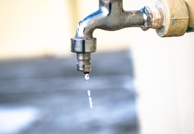 Tacoma Plumbers’ Warranties: Understanding Coverage and Choosing the Best