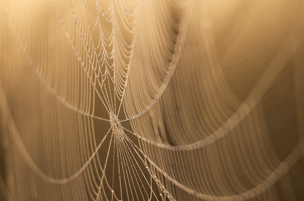 web-design-in-atlanta-640x480-63829257.png