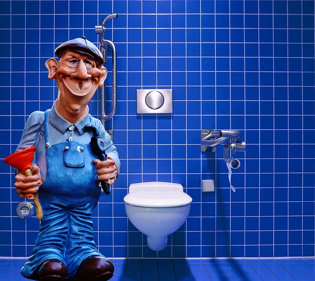 knoxville plumbers