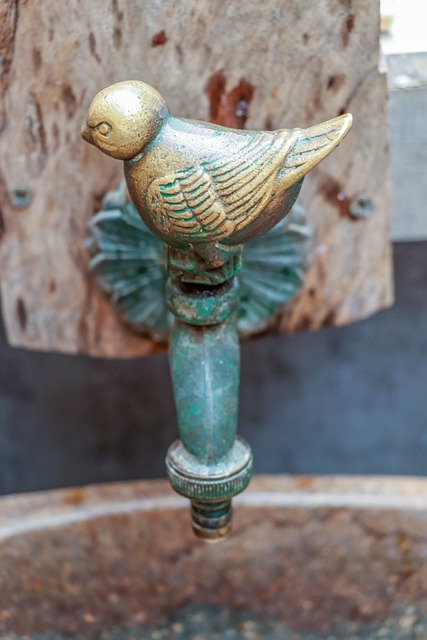 plumbing in Maryville