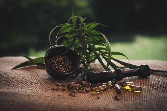 trusted cbd extracts for sale