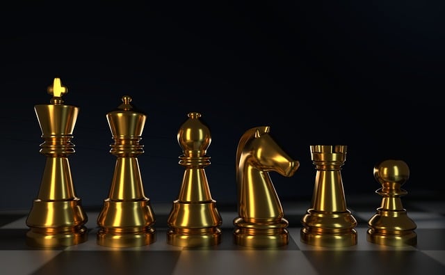pawn in USA